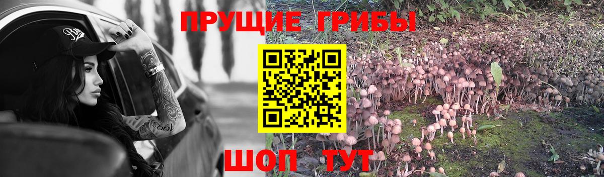 хочу наркоту  Галлюциногенные грибы ЛСД  Вход с VPN  Унеча 